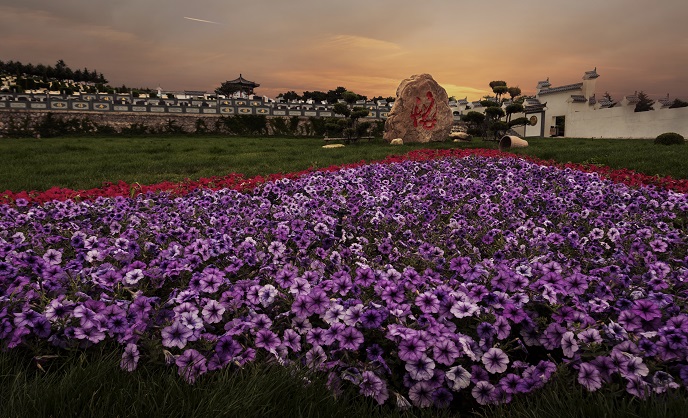 沈陽墓園陶然墓地玫瑰藝術園詳細介紹